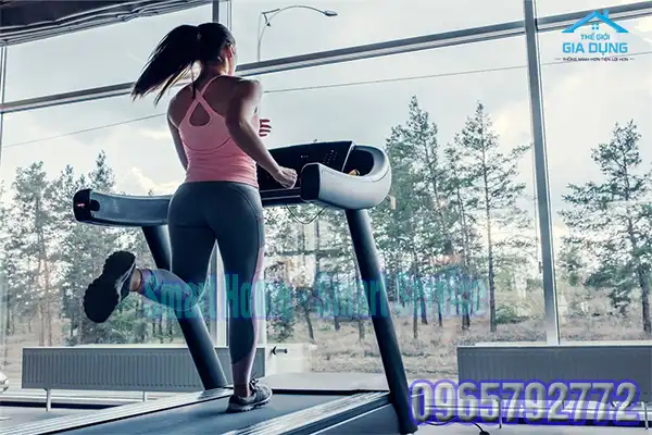 Bo mạch máy chạy bộ kingsport