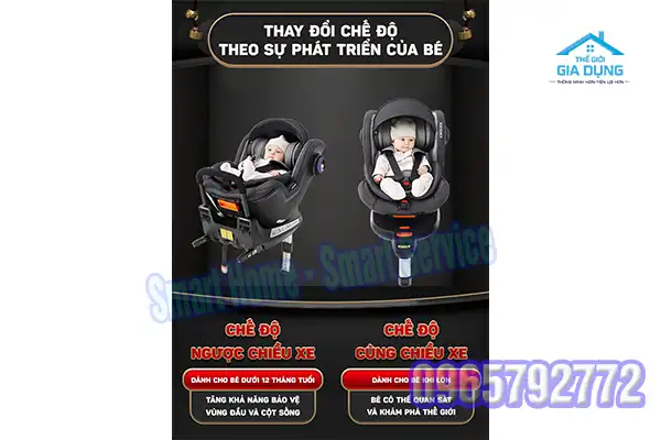 Ghế Chilux Roy 360 Cũ